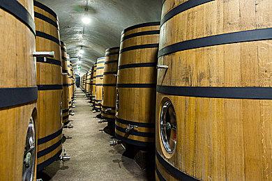 《尼克儿童频道全明星大乱斗》爱普莉尔出招 10月5日发售